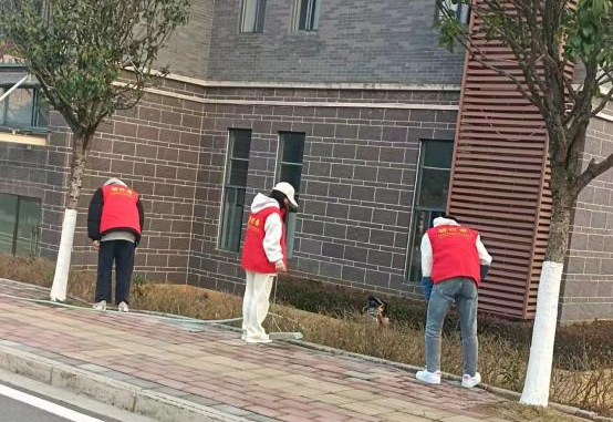 图片 图片