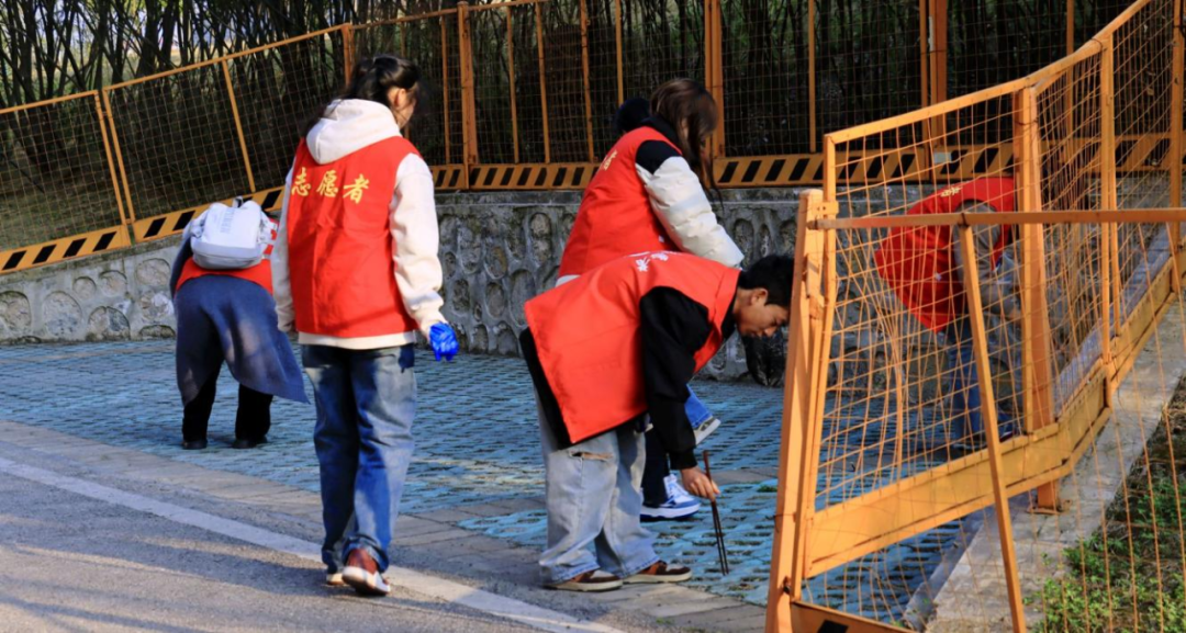 图片 图片